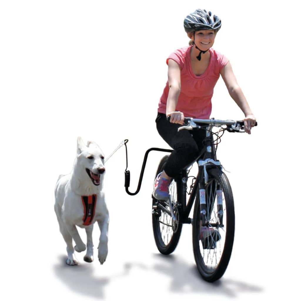 Springer Dog Bicycle Exerciser Kit