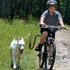 Springer Dog Bicycle Exerciser Kit
