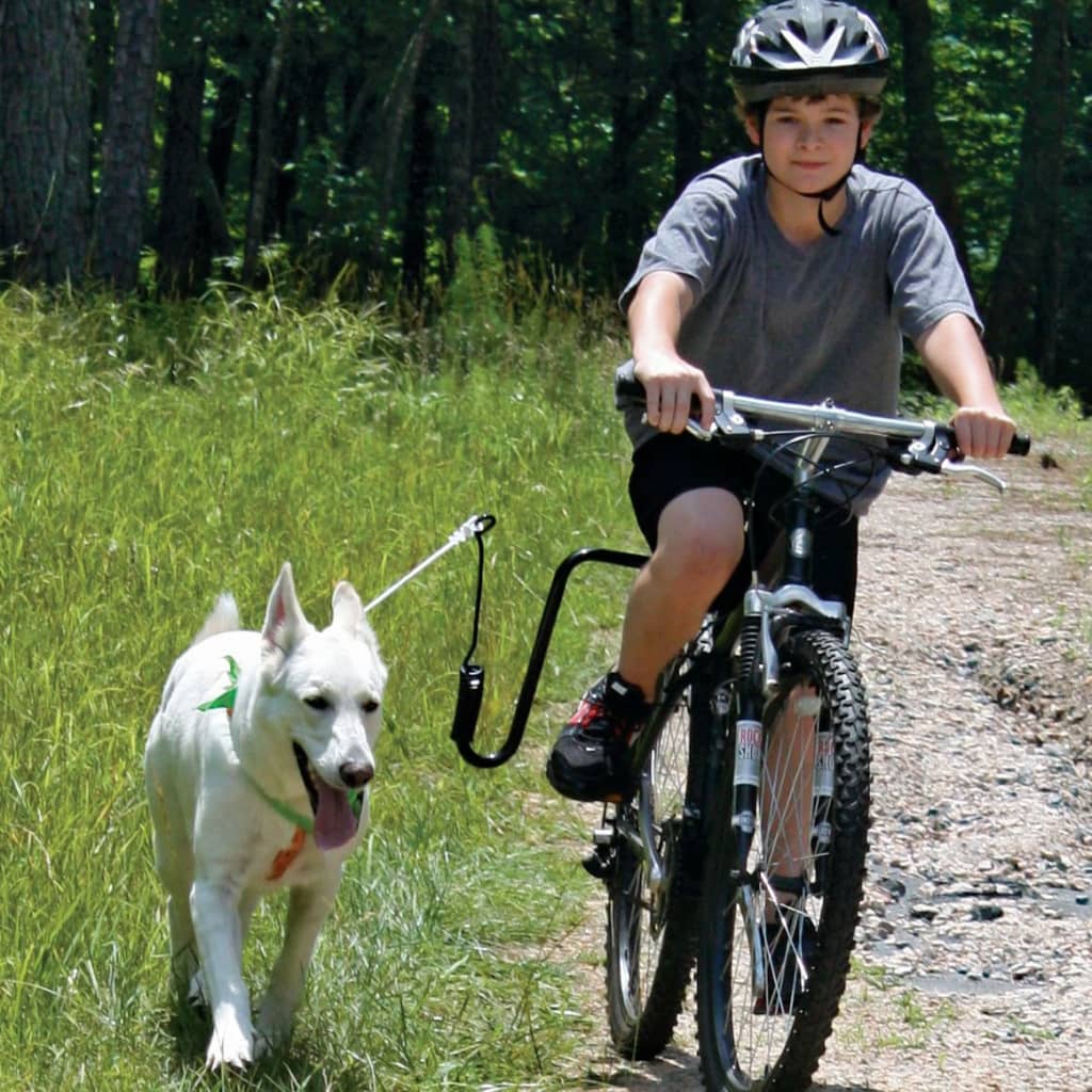 Springer Dog Bicycle Exerciser Kit
