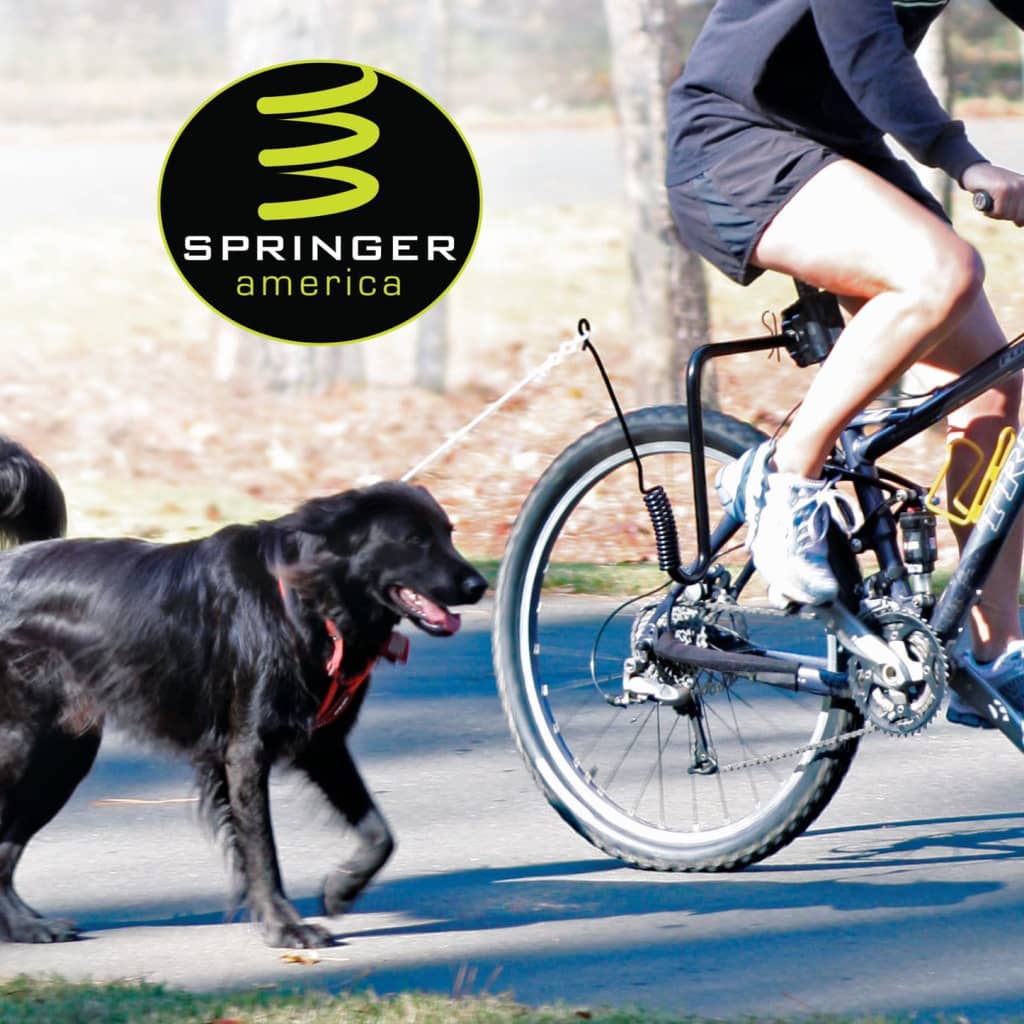 Springer Dog Bicycle Exerciser Kit