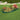 Lawn Edgings 10 pcs Green 65x15 cm PP
