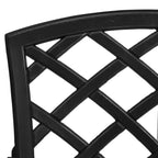Garden Chairs 2 pcs Cast Aluminium Black
