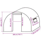 Greenhouse Replacement Cover (4.5 m²) 3x1.5x2 m Transparent