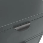 Sideboard Anthracite 75x35x70 cm Steel and Tempered Glass