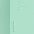 Storage Cabinet Mint 42.5x35x101.5 cm Steel