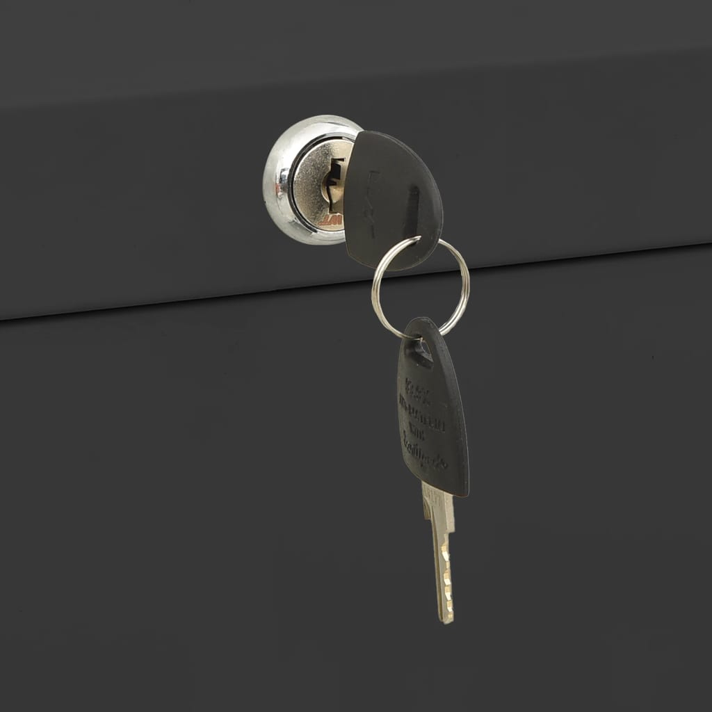 Filing Cabinet Anthracite 90x46x134 cm Steel