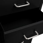 Mobile File Cabinet Black 28x41x109 cm Metal