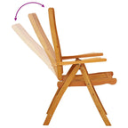 Folding Garden Chairs 2 pcs Solid Wood Eucalyptus