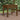 Garden Bench Honey Brown 50x44x45 cm Solid Wood Pine