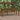 Garden Bench Honey Brown 109x44x45 cm Solid Wood Pine