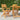 Folding Garden Chairs 2 pcs 55x61x90 cm Solid Wood Teak