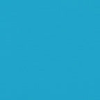 Pet Bike Trailer Blue and Black Oxford Fabric and Iron