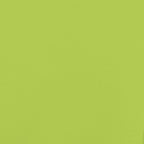 Pet Bike Trailer Green and Black Oxford Fabric and Iron