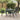 Chair 4 pcs Anthracite 56 x 65 x 89cm Steel