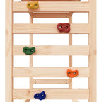 Outdoor Playset Solid Wood Pine