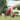 Balance Bike for Children with Air Tyres Red