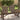 Garden Adirondack Chair 2-Seater Solid Wood Fir