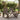 2 Piece Garden Lounge Set Solid Wood Fir