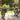 Garden Table 115x55x65 cm Solid Wood Fir