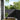Balcony Screen Anthracite 120x800 cm 100% Polyester Oxford