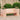 Planter Bench 167.5x60x65 cm Solid Wood Douglas