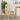 Dining Chairs 2 pcs Panama 40x46x90 cm Solid Wood Pine