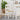 Dining Chairs 2 pcs Panama White 40x46x90 cm Solid Wood Pine