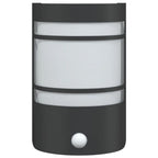 Outdoor Wall Lights with Sensors 2pcs Black Stainless Steel