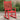 Rocking Chair for Children Red Solid Wood Poplar