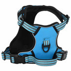 Dog Harness with Lead & Collar Adjustable Blue L