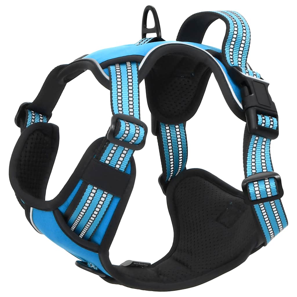 Dog Harness with Lead & Collar Adjustable Blue XL