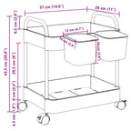 Storage Trolley 2-Tier Transparent 37x28x43.5 cm Acrylic
