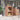 Kitchen Cabinet Brown 55 x 55 x 92 cm Solid Douglas Fir wood