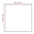 Clear Tarpaulin with Eyelets 6x6 m Polyethylene