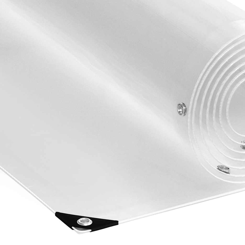 Clear Tarpaulin with Eyelets 1x3 m PVC