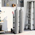 Hand Trolley Black and Red 63 x 43.5 x 110 cm Steel