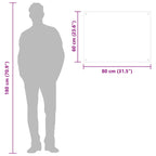 Kitchen Backsplashes 2 pcs Black 80x60 cm Tempered Glass