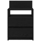 Bedside Cabinets 2 pcs with 2 Drawers Black 40x33x60 cm