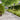Lawn Edgings 10 pcs White 10x103 cm Cold-rolled Steel