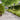Lawn Edgings 10 pcs 10x103 cm Stainless Steel