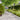 Lawn Edgings 50 pcs White 10x103 cm Cold-rolled Steel