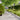 Lawn Edgings 10 pcs 15x103 cm Stainless Steel