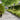 Lawn Edgings 50 pcs Olive Green 15x103 cm Cold-rolled Steel
