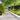 Lawn Edgings 10 pcs White 20x103 cm Cold-rolled Steel