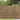 Reed Fence Folding Brown 300 x 180 cm Reed
