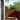 Balcony Screen Red 90x700 cm 100% Polyester Oxford