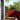 Balcony Screen Red 90x800 cm 100% Polyester Oxford