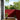 Balcony Screen Red 120x700 cm 100% Polyester Oxford