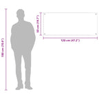 Kitchen Backsplash Dark grey 120 x 50 x 0.6 cm Tempered Glass