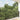 Cat Net Transparent 4x3 m Nylon